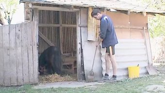 复古奶奶体验强烈的肛交