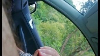 闪光的妻子们在行动中
