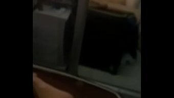 瓦伦蒂娜的秘密欲望:...