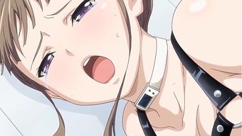 动漫性爱,硬核bds...