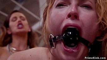 女同性恋参与bdsm和群交